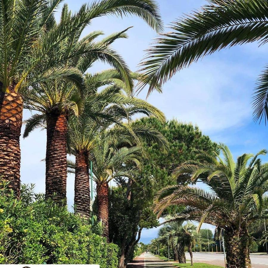 Hotel Etruria Forte dei Marmi Buitenkant foto